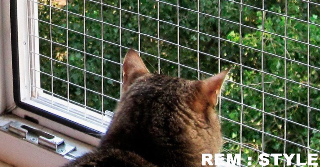 Системы открывания и безопасность